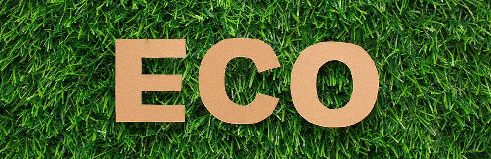 Eco word on a grass background